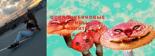 молекула духа Балахна