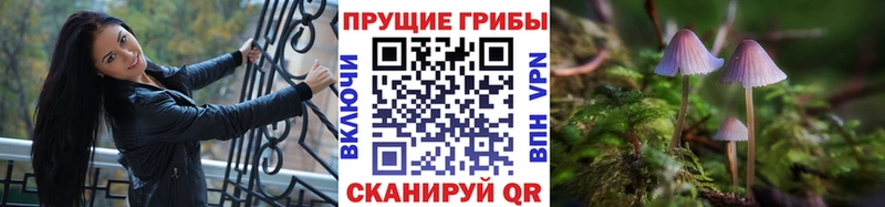 наркота Нерюнгри даркнет состав Псилоцибиновые грибы Magic Shrooms
